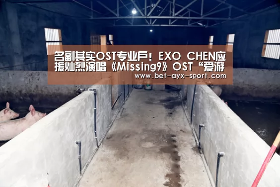 爱游戏